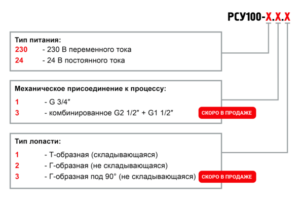Обозначение при заказе РСУ100